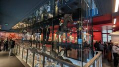 vue intérieur du musée